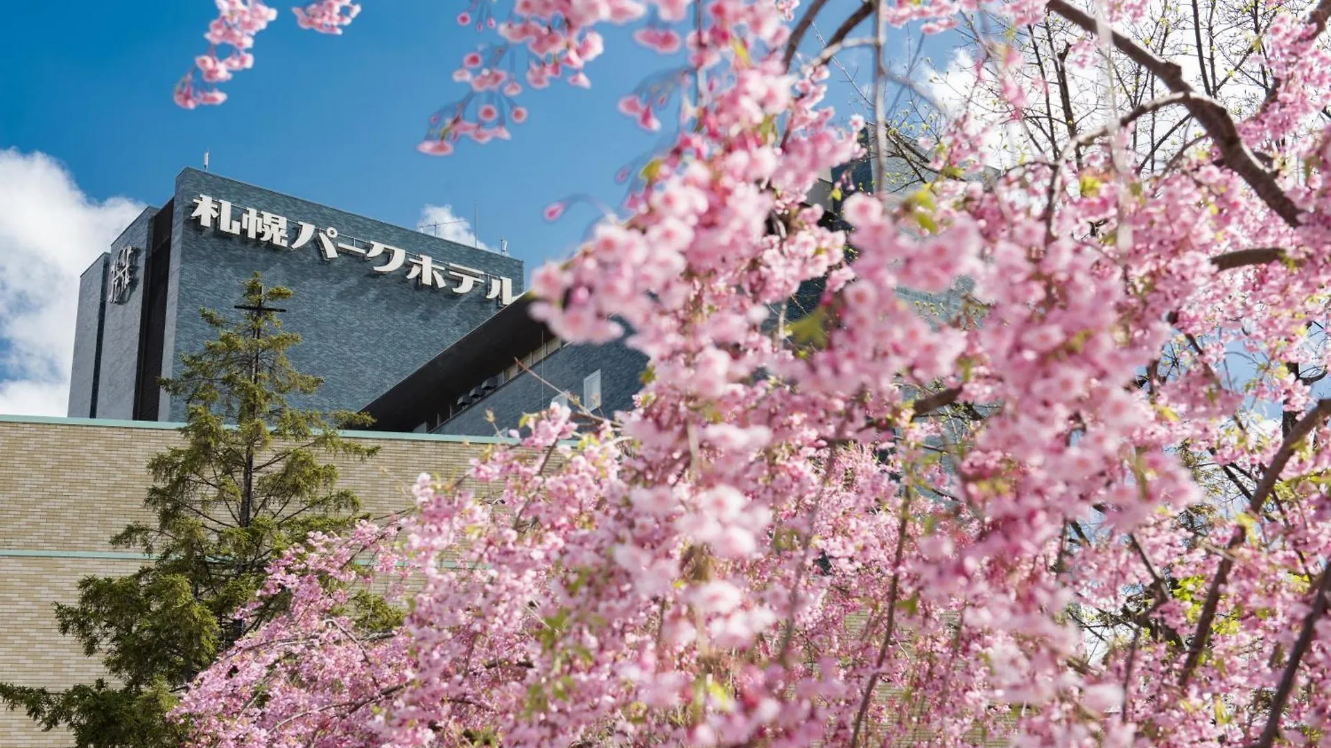 札幌公园饭店酒店 5*, 札幌 日本