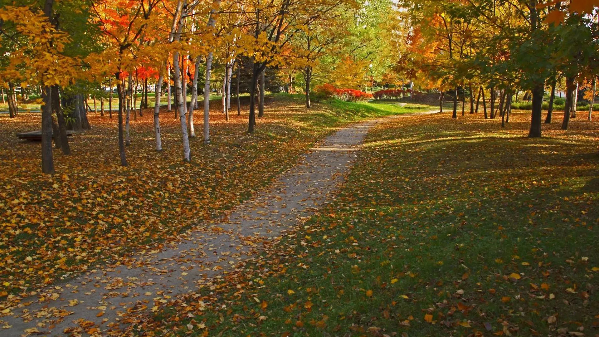 Sapporo Park Hotel
